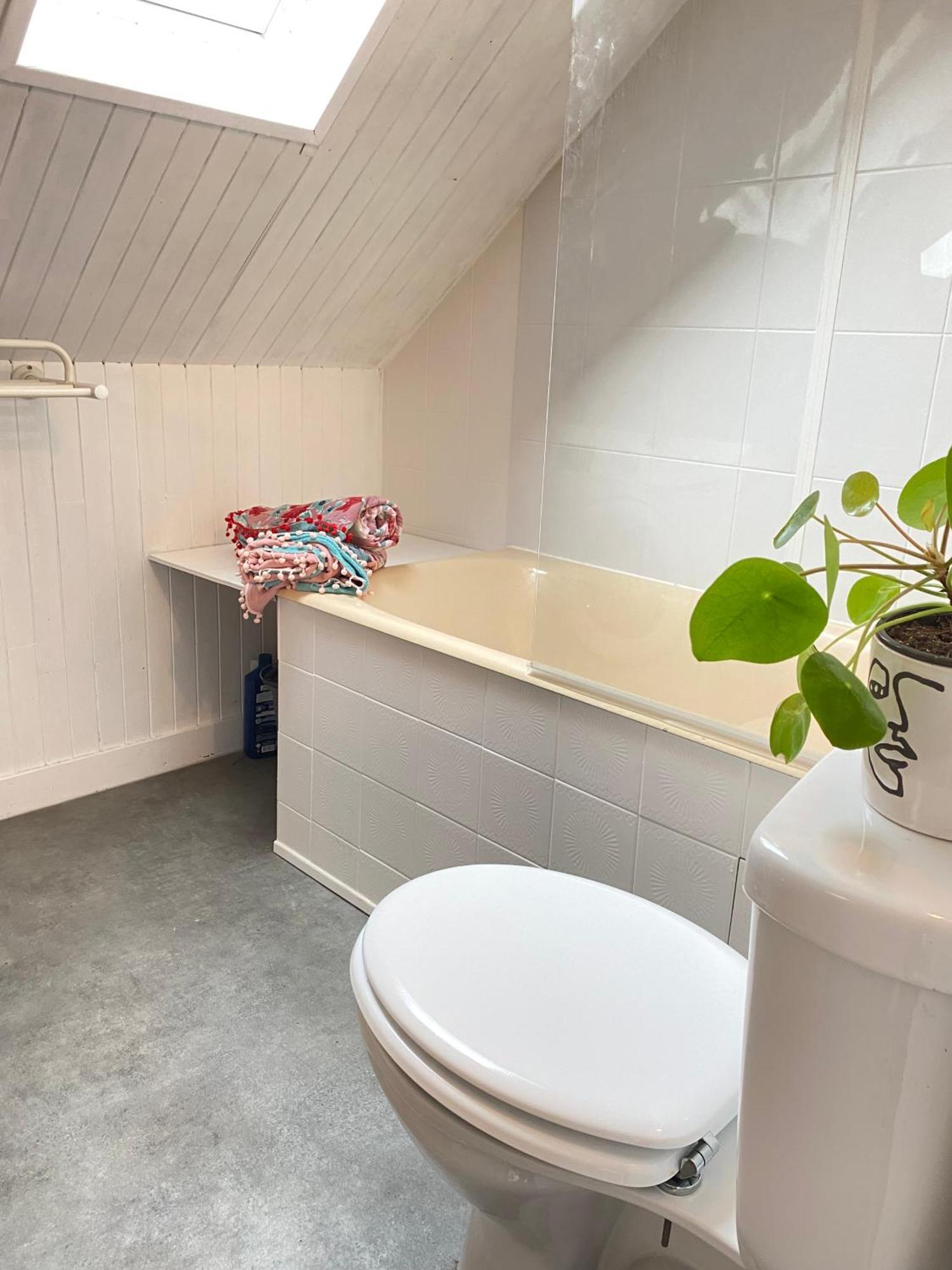 Agreable Cocon Sous Les Toits - Parking - Wifi Apartment เปลเนิฟ-วัล-อ็องเดร ภายนอก รูปภาพ
